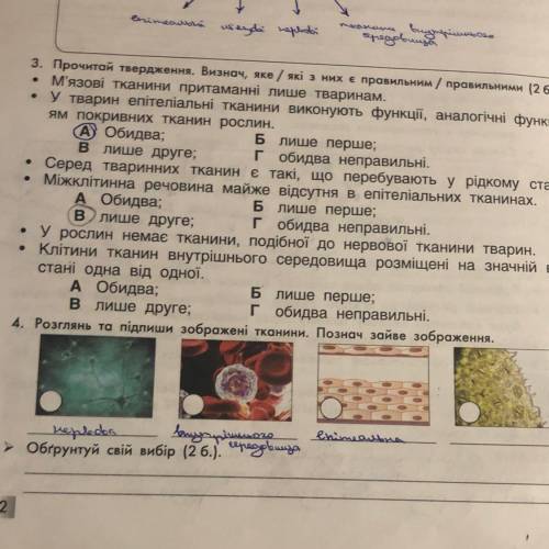 4 задание , буду очень благодарна