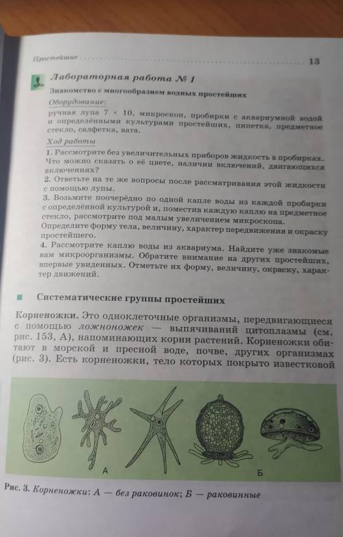 Оформить лабораторную работу номер 1 тема: знакомство с многообразием водных простейших