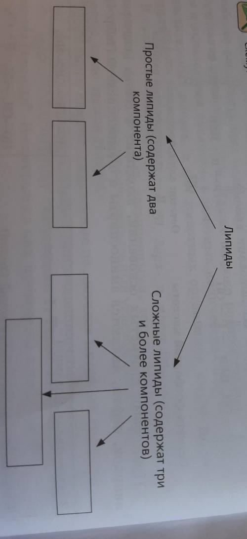Используя учебный материал и дополнительную литературу заполните в тетради таблицу.Липиды