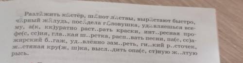 распределите слова с пропущенными буквами по графам таблицы корни обозначьте первый столбик проверяе