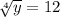 \sqrt[4]{y} = 12