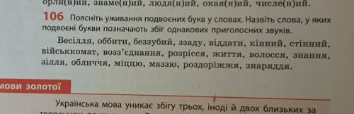 поясність уживання подвоєних букв. Назвіть слова, у яких подвоєні букви позначають збіг однакових п