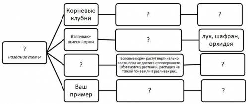 , Рассмотрите приведённую ниже схему. Дайте название схеме, дополните её необходимыми данными, приме