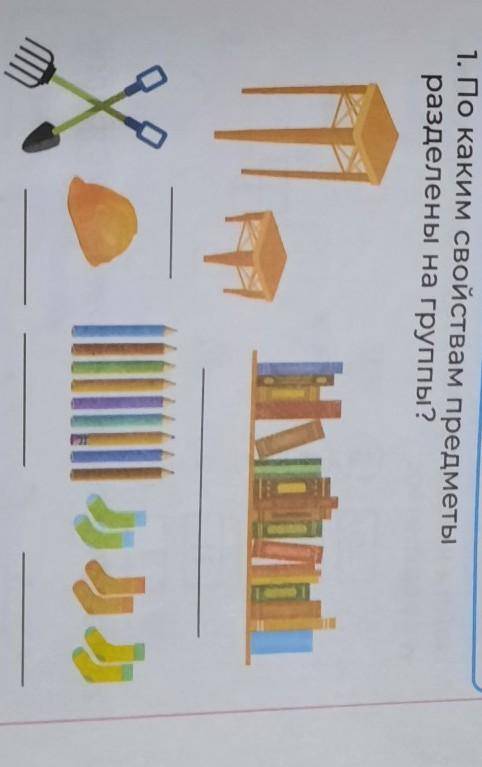 1. По каким свойствам предметы разделены на группы?