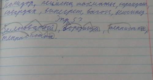 5 слов на каждую схему и разобрать по составу с 1) корень, суффикс, окончание2) корень, суффикс, око