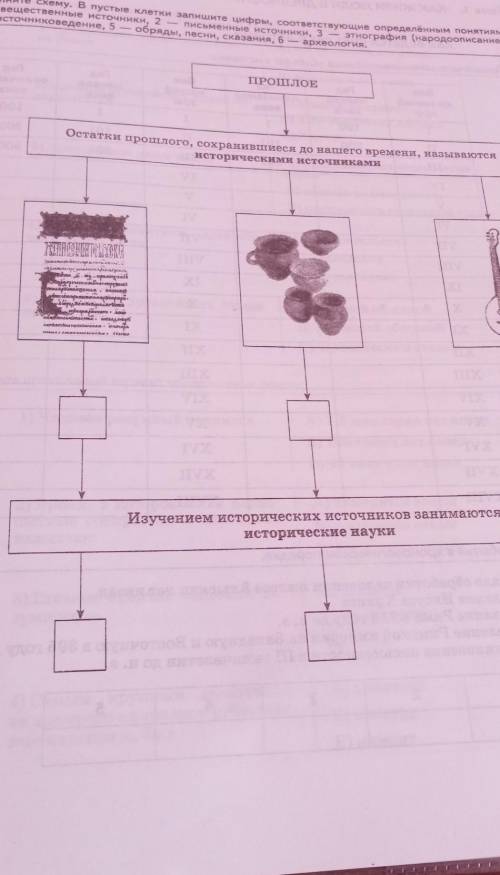 история заполните схему в пустые клетки запишите цифры соответствующие определённые понятием первое