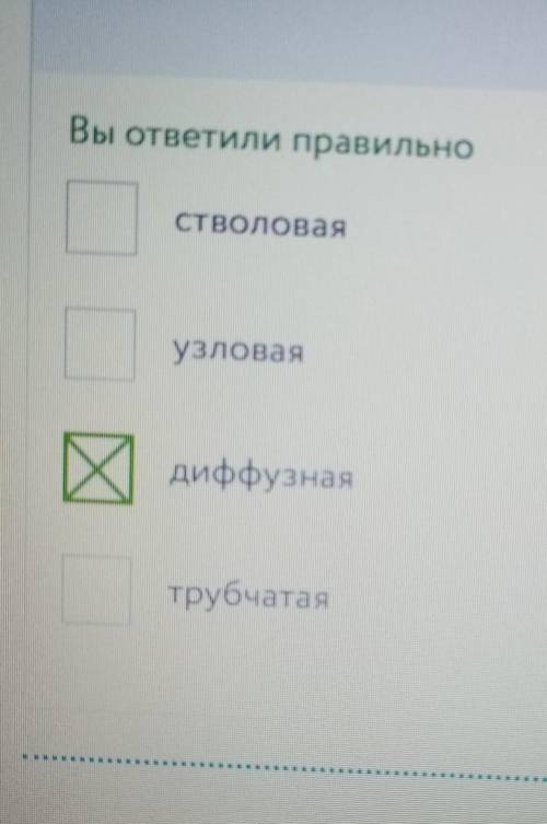 Вопрос №1 ? Укажите ученого, который ввел в науку систематические категории. Р. Гук Аристотель К. Ли