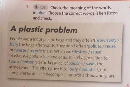 Check the meaning of the words in blue. Choose the correct words. Then listen and check. А plastic p