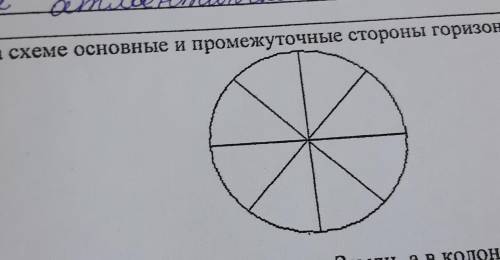 Отметь на схеме основные и промежуточные стороны горизонта