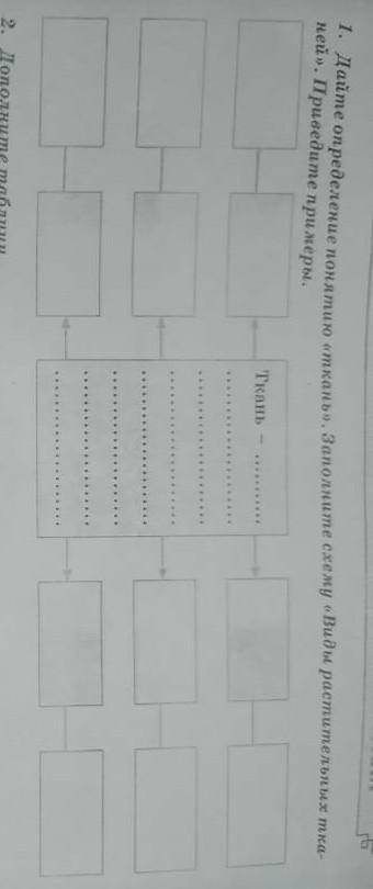 Заполните схему виды растительных тканей приведите примеры