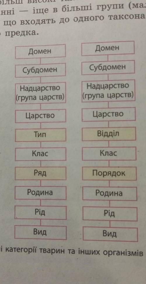 Практична робота з біології 10клас Груша, вовк, живокіст лікарський, собака