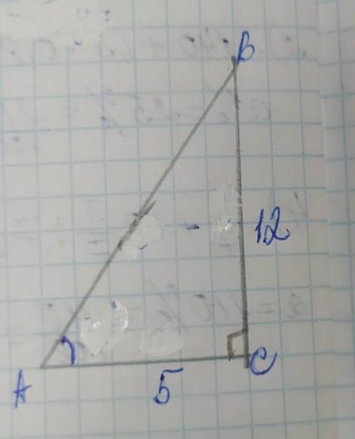 Катеты прямоугольно треугольника равны 5 и 12. найди косинус большего из острых углов