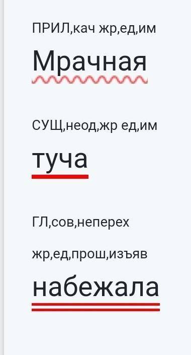 Синтаксический разбор слов: мрачная,туча,набежала