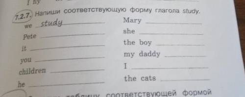 1.2.7. Напиши соответствующую форму глагола study. Mary we study Pete she it the boy you my daddy I