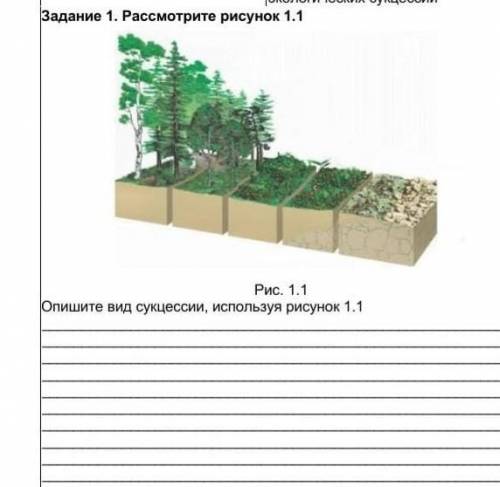 Экологических сукцессий Задание 1. Рассмотрите рисунок 1.1IРис. 1.1One mu сукцесси, используя рисуно