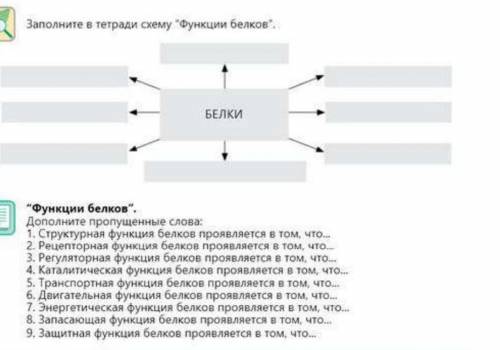 Заполните в тетраде схему Функции белков. БЕЛКИ