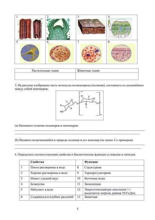 СОР БИОЛОГИЯ 8 КЛАСС 1 ЧЕТВЕРТЬ УМОЛЯЮ