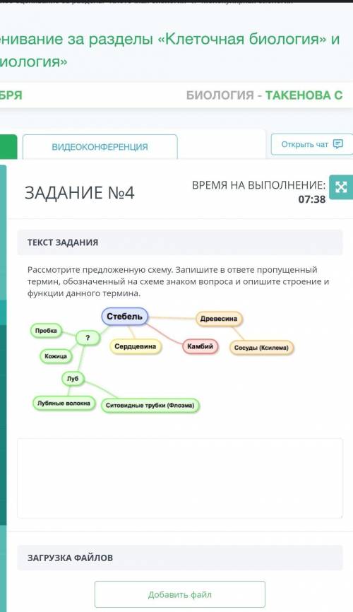 рассмотрите предложеную схему . запишите в ответе пропущенный термин, обознааенный на схеме, обознаа