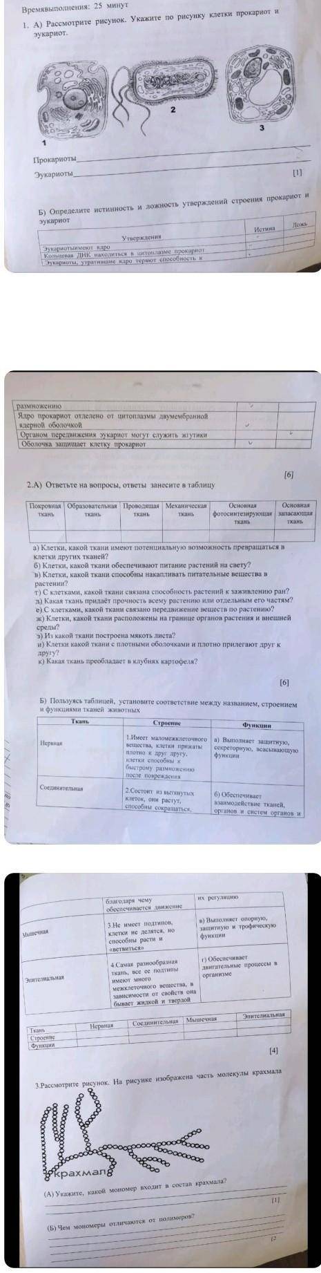 Кто шарит в биологии , все задания (8кл) всего 3 заданий