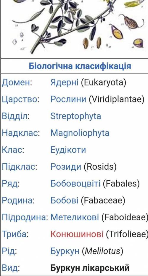 Чим відрізняється буркун лікарський і еспарцет посівний​