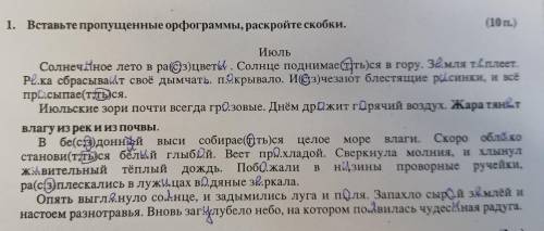 найди в тексте укажи нераспространённое предложение и сложное определи выделите в них грамматические