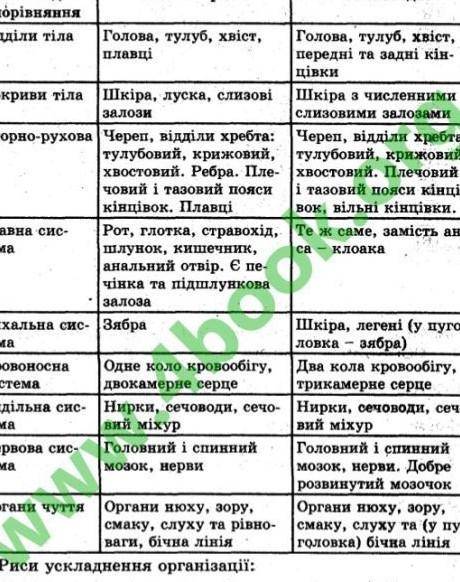 порівняльна таблиця амфібії пристосування до водного і наземного середовищ.