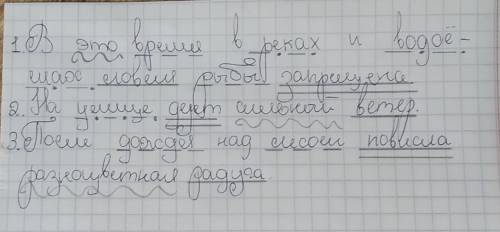 синтаксический разбор предложения: В это время в реках и водоемах ловля рыбы запрещена. На улице дуе