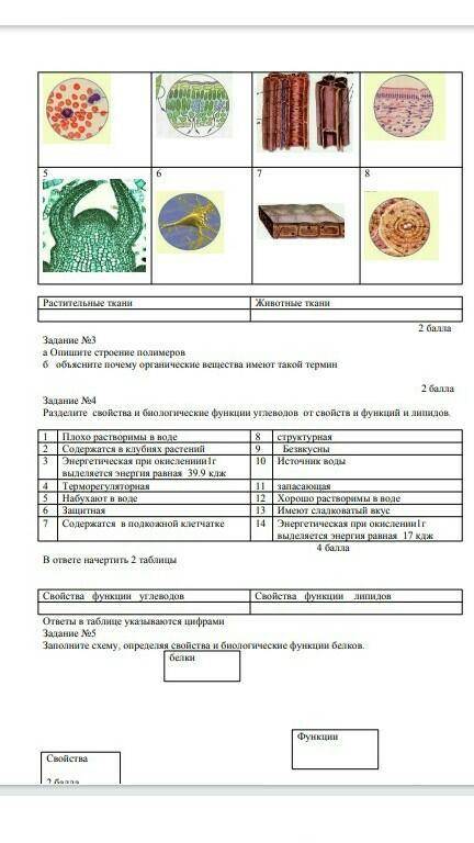 Разделите свойства и биологические функции углеводов от свойств и функций липидов Сорр