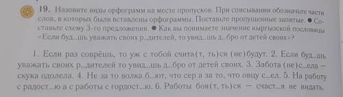 19. Назовите виды орфограмм на месте пропусков. При списывании обозначьте части слов, в которых были