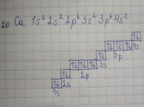 составьте электроную и графическую форму распределения электронов элемента под номером 20 электронна