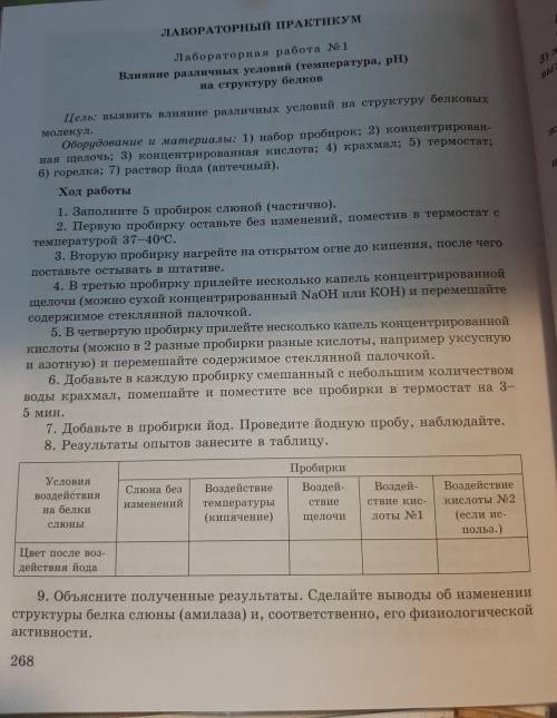 Здравствуйте с лабораторной работой по биологии. Белок Амилаза(слюна). Таблица в фотографии.