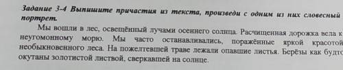 Задание 5. Выпишите одно из предложений с причастным оборотом, выделите его графически, нарисуйте сх