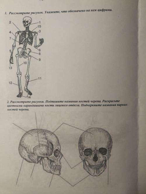 1. Рассмотрите рисунок. Укажите, что обозначено на нем цифрами. 2. Рассмотрите рисунки. Подпишите на