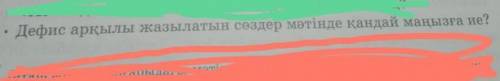 Дефис арқылы жазылатын сөздер мәтінде қандай маңызға ие?