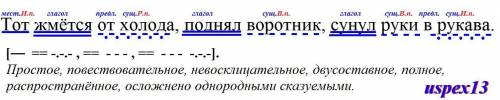 тот жмется от холодп синтаксический разбор дополнение опр, обстоят; части речи;падеж;схема ;разбор