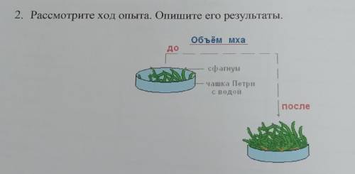 Рассмотрите ход опыта. Опишите его результаты.