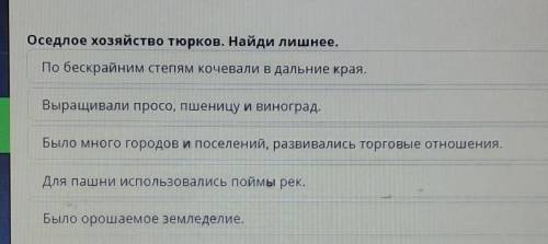 Оседлое хозяйство тюрков. Найди лишнее. По бескрайним степям кочевали в дальние края.Выращивали прос