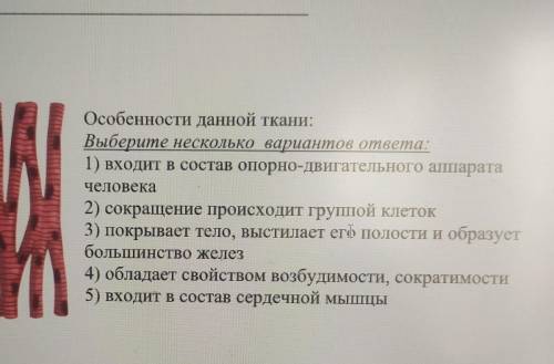 плз биология 8 класс тест по теме ткани организма