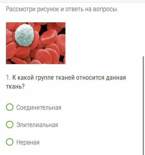 Рассмотри рисунок и ответь на вопросы. 1. К какой группе тканей относится данная ткань? Соединительн