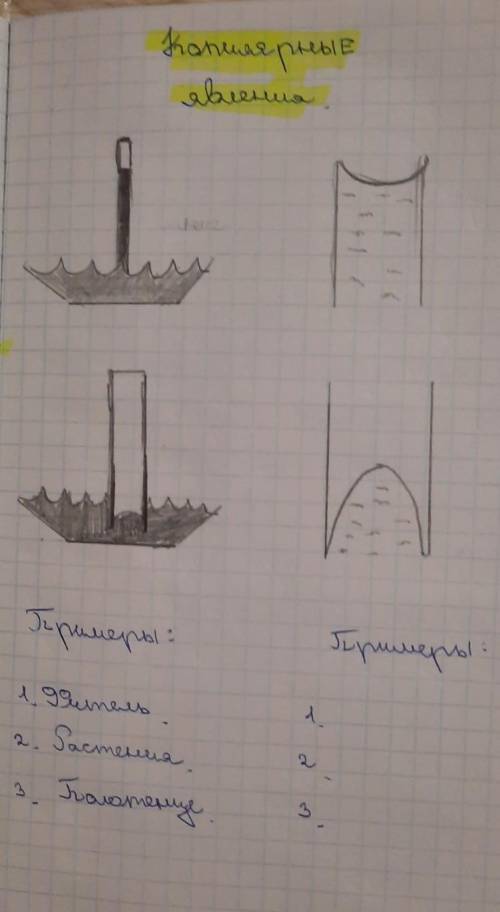 Примеры копилярных явлений физика