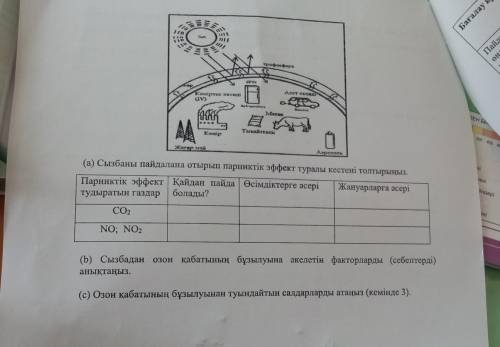 Биологиядан комектесндершш отыныш тезз