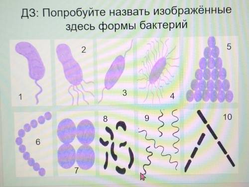 плз, напишете как они называются, типо: 1. 2.3.