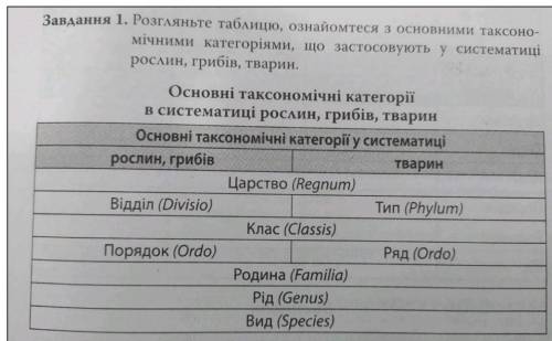 Что и как тут делать? А если сможете то распишите немного