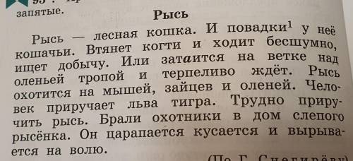 Выписать однородные члены придложения