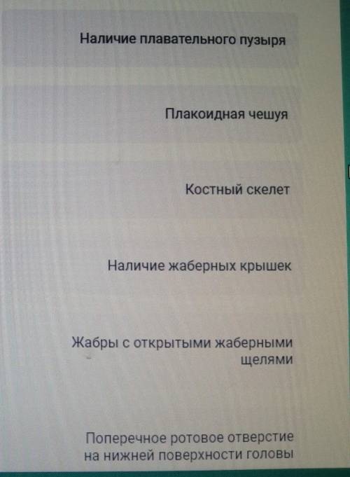 Соотносите изображённые организмы с характерными для них признакамискат и рыба