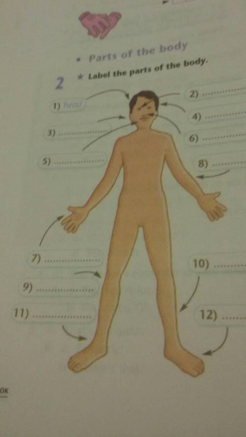 2 Label the parts of the body. 1) head 2) 3) 6) 5) 7) 10) 9) 11) 12)