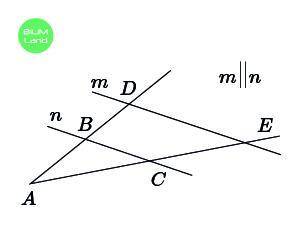 Найди длину отрезка DE, если AB = 6 см, BD = 3 см, BC = 3 см.