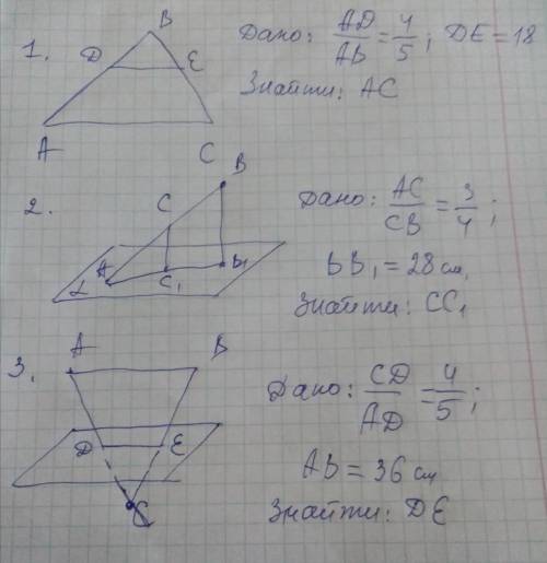 Как нужно верно сделать ? Фото: