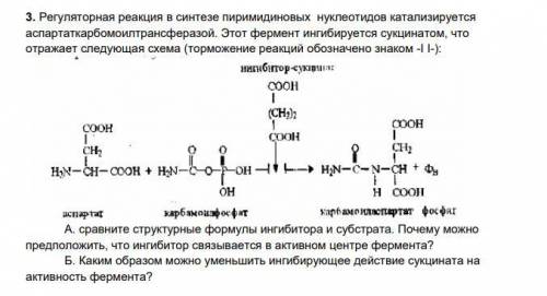 1. Оптимальные условия действия амилазы - фермента расщепляющего крахмал: рН= 6,8; t=37 0С. как изме