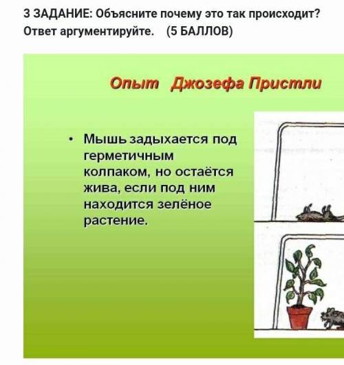 Объясните почему это так происходит?ответ аргументируйте. Мышь задыхается под герметичным колпаком,